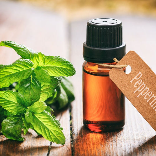 5 Of The Best Smelling Essential Oils for Your Home